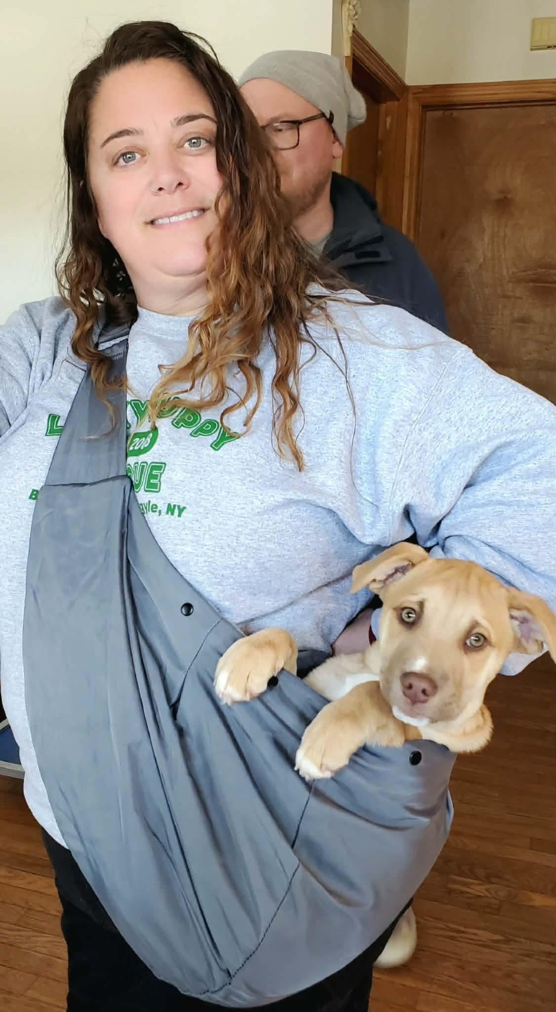 Tanner , a Adoptable Mixed Breed in Argyle, NY image 6/6