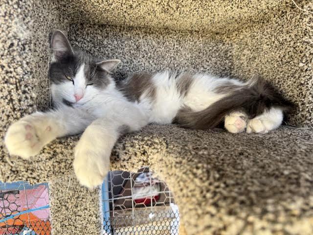 Owen photo 9