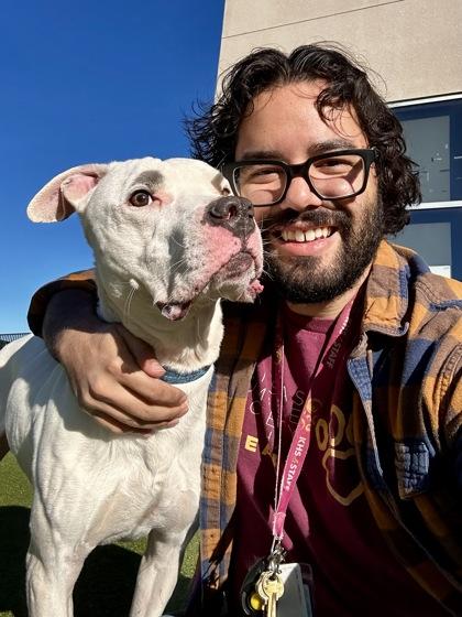 Enlarge Chapo, a Adoptable mixed breed in Wichita, KS image 2/3