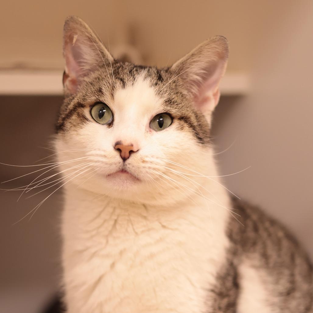 Tookie — thumbnail 2