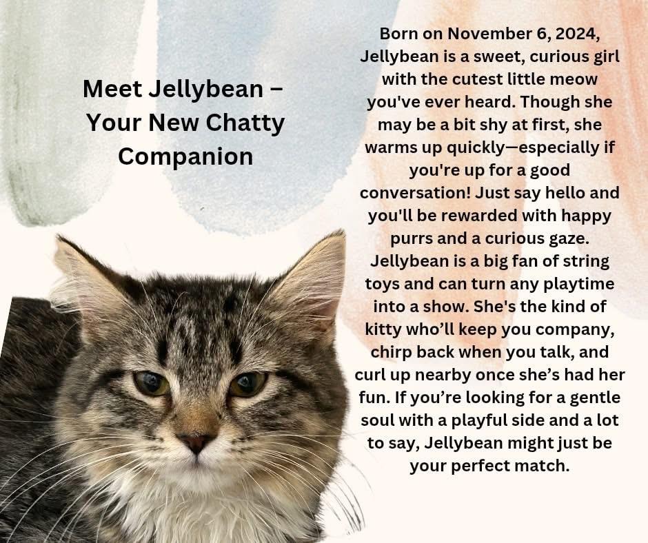 Jellybean photo 1