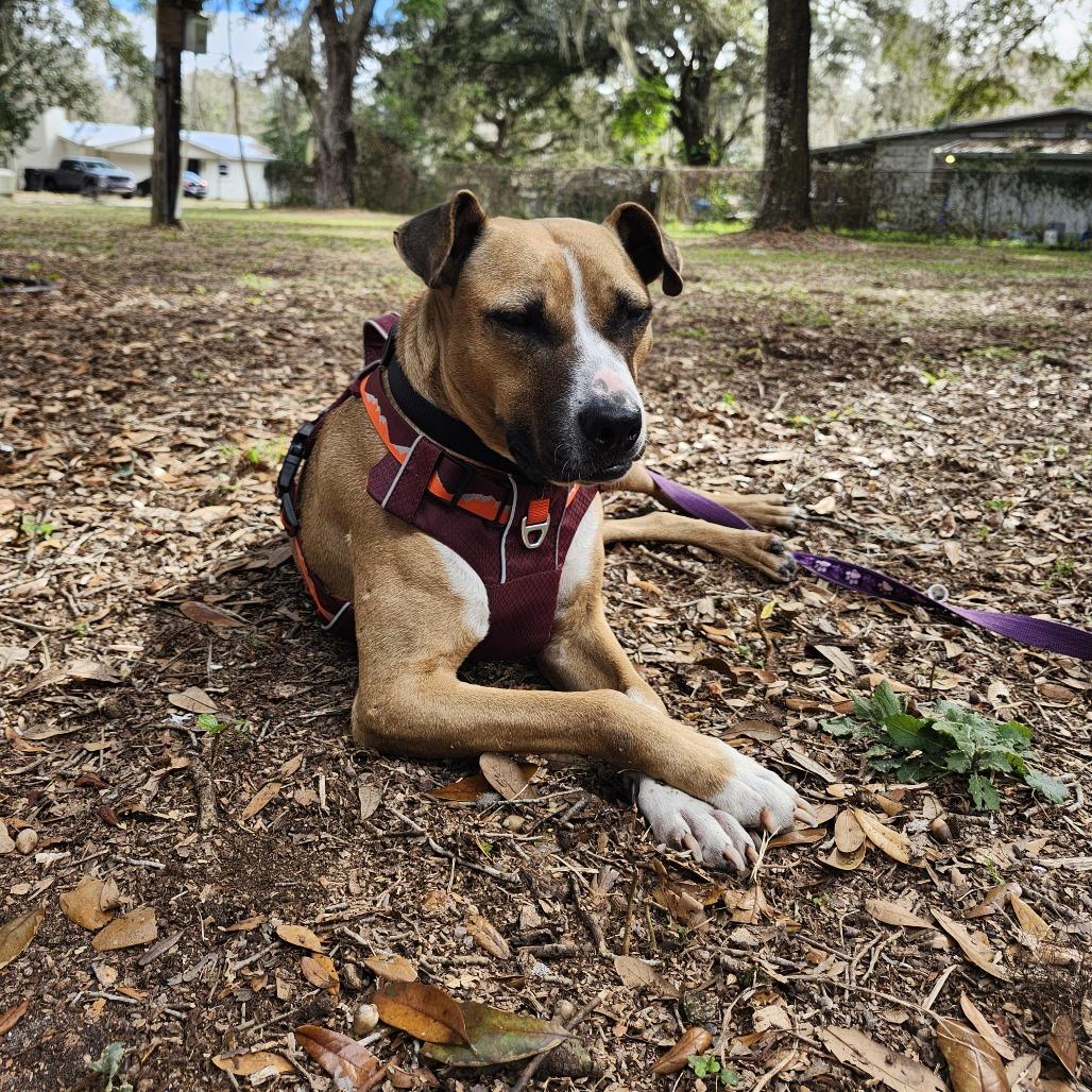 Brooklyn — thumbnail 2