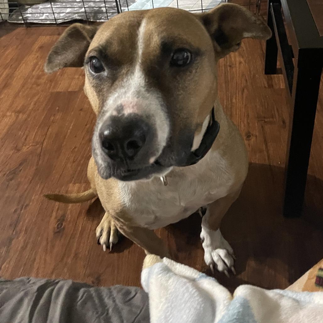 Brooklyn — thumbnail 3