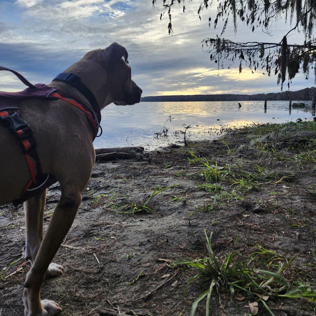 Brooklyn — thumbnail 5