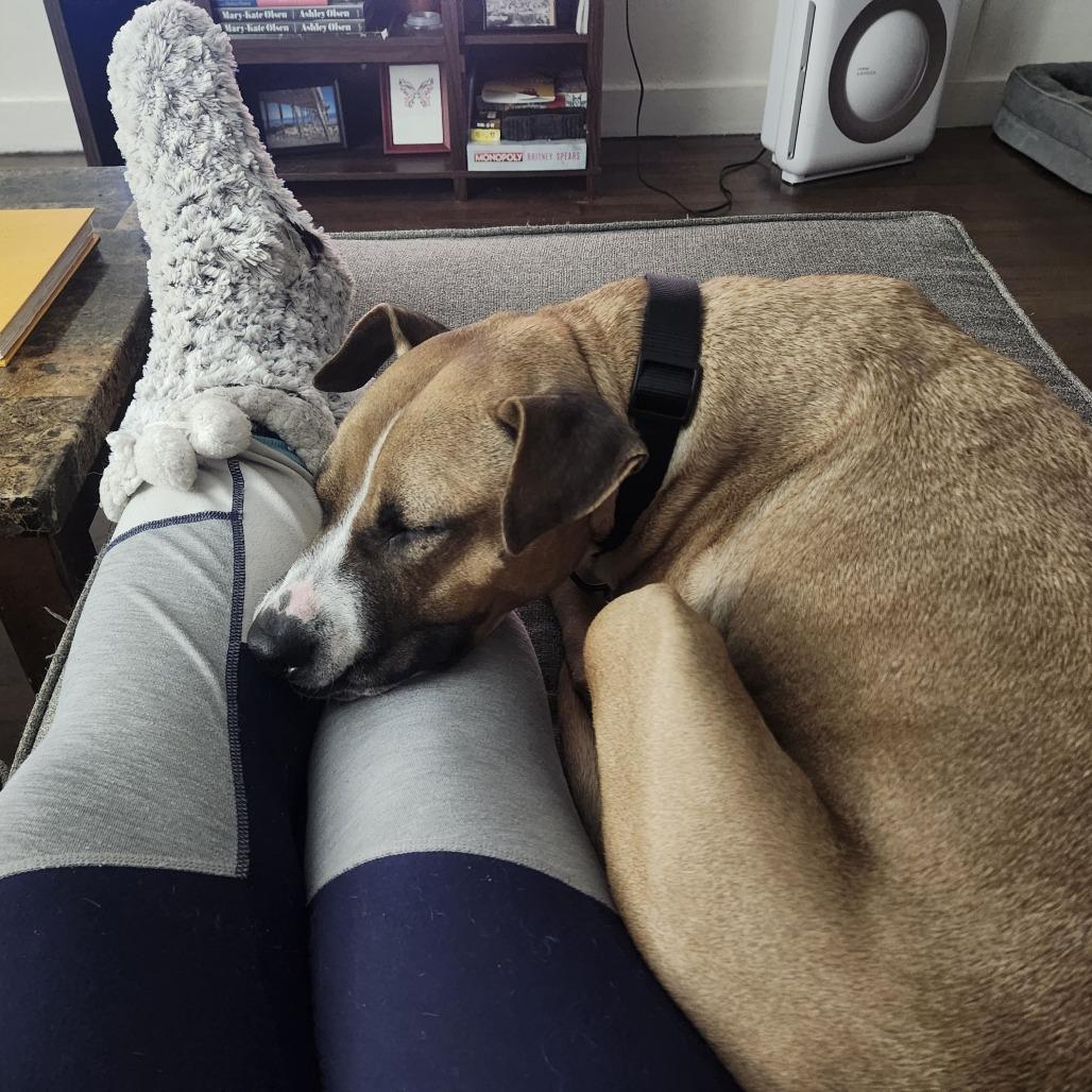 Brooklyn — thumbnail 6