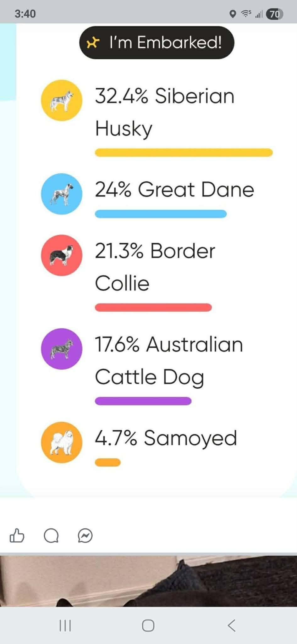 Hampton, a ADOPTABLE mixed breed in Bend, OR image 3/6