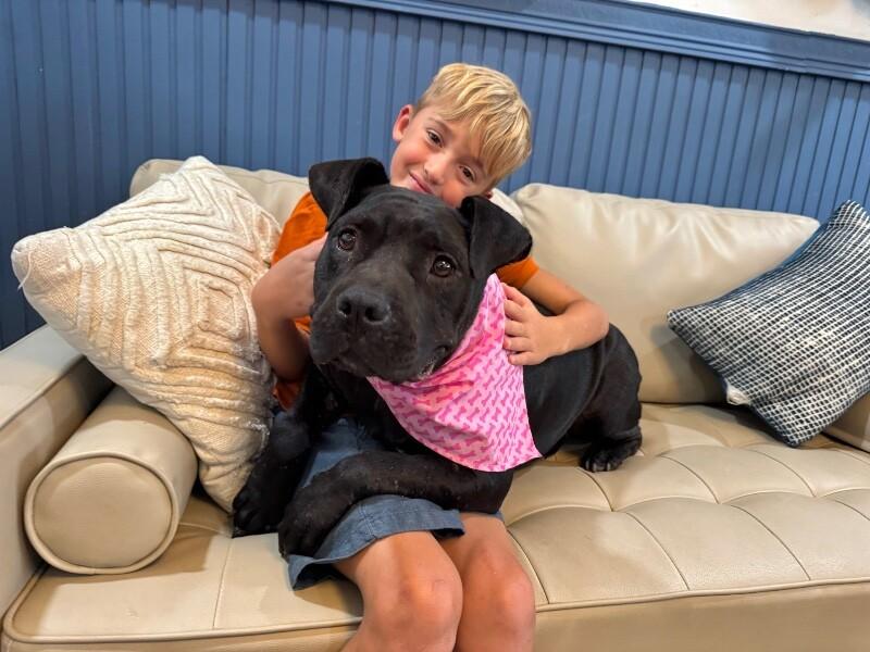 Angie Short Stack of Snuggles 3