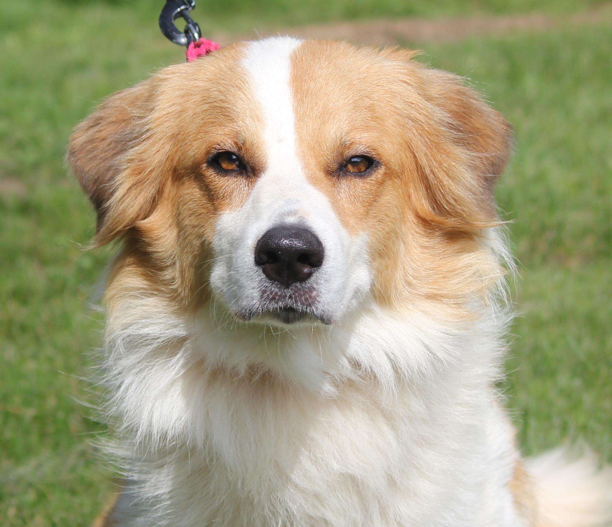 Rosie