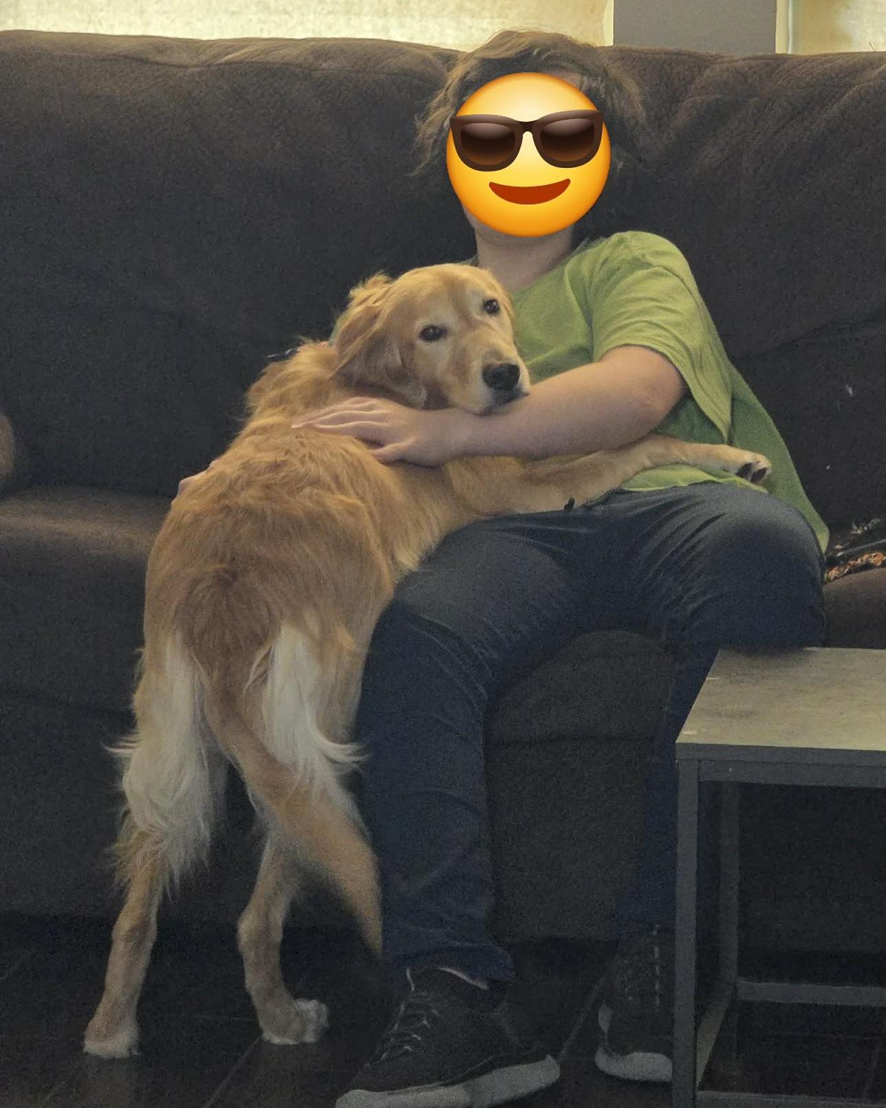 Birdie Mae, an adopted Golden Retriever in Kiowa, OK image 4/6