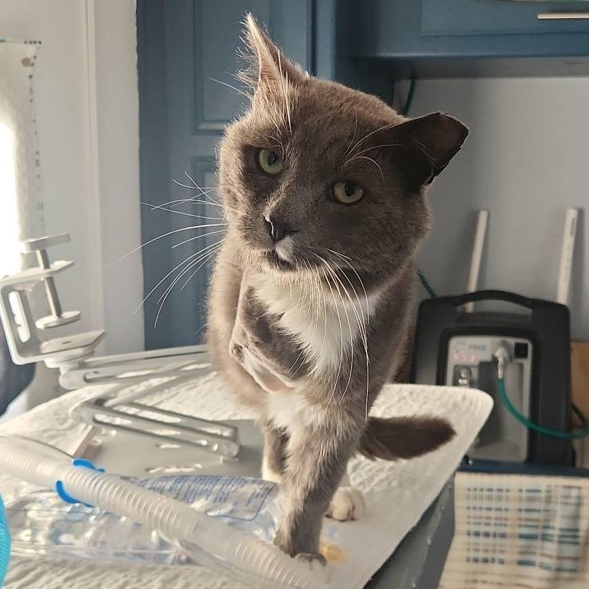 Sebastian thumbnail 3