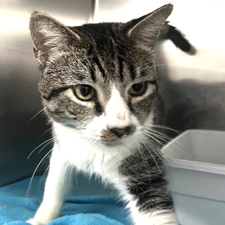 Simon — thumbnail 2