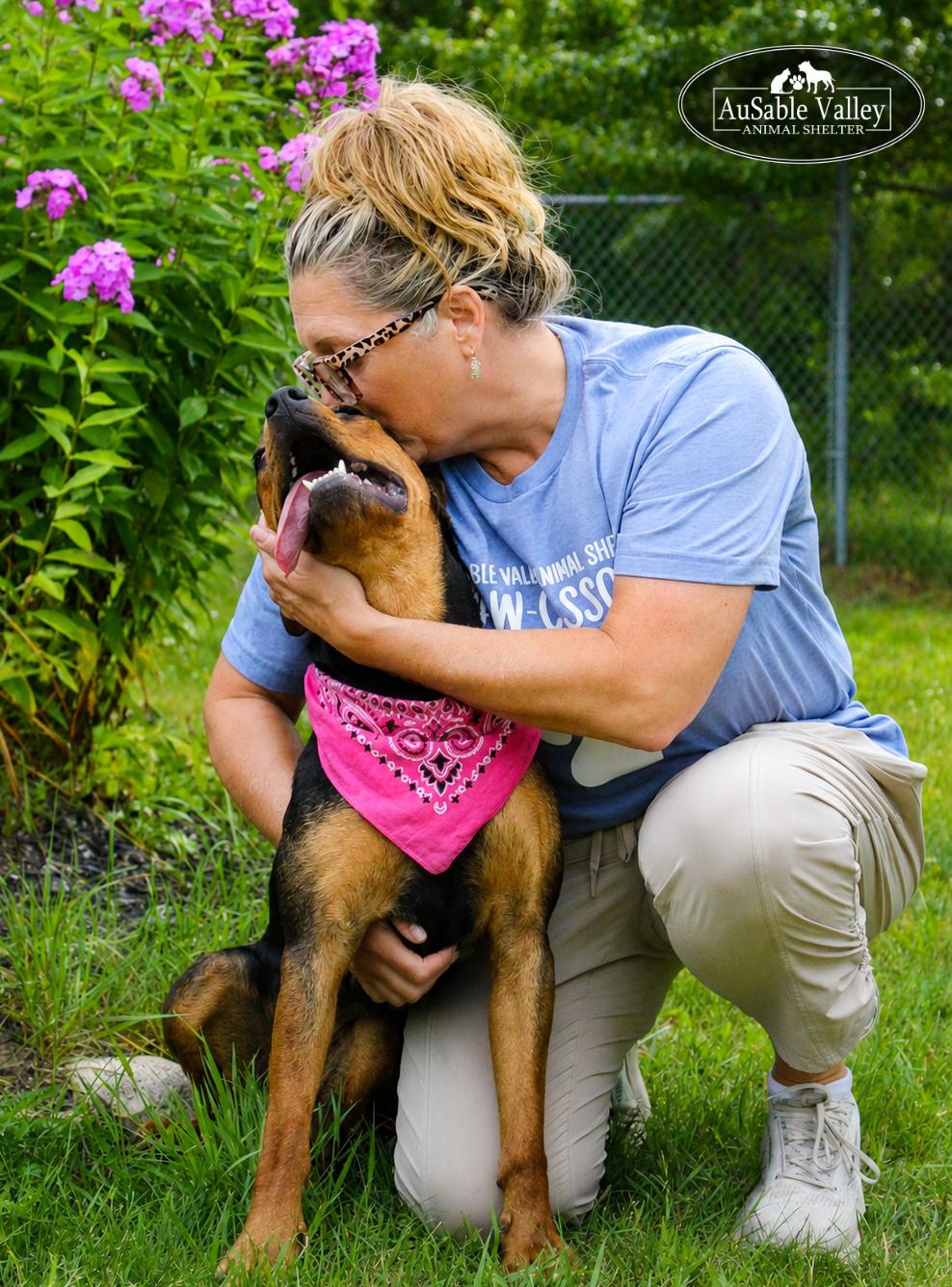 Enlarge Dolly, a ADOPTABLE mixed breed in Grayling, MI image 4/6