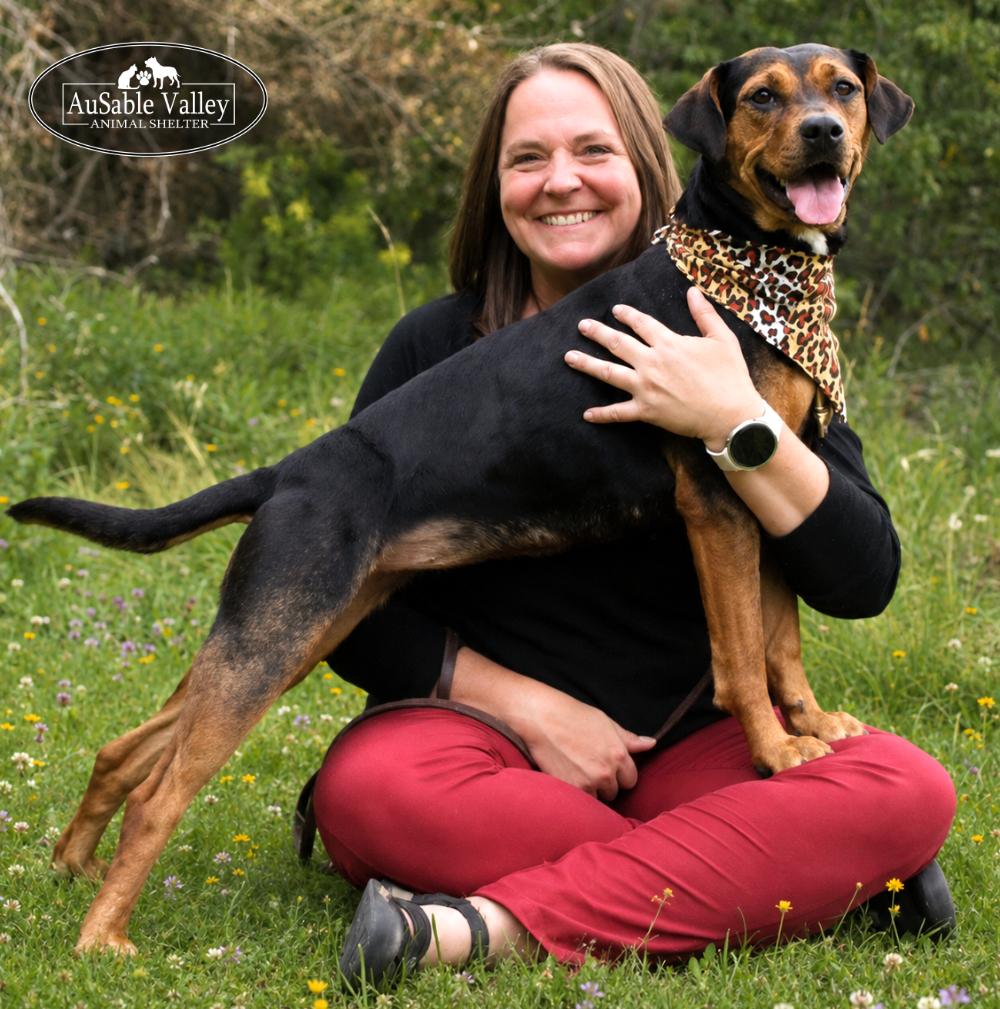 Dolly, a ADOPTABLE mixed breed in Grayling, MI image 5/6