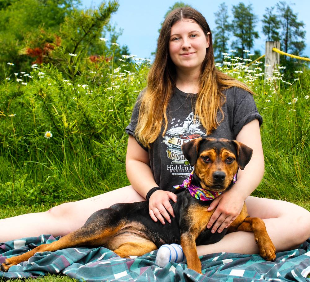Dolly, a ADOPTABLE mixed breed in Grayling, MI image 4/6