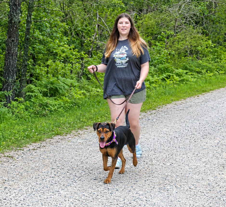 Dolly, a ADOPTABLE mixed breed in Grayling, MI image 5/6