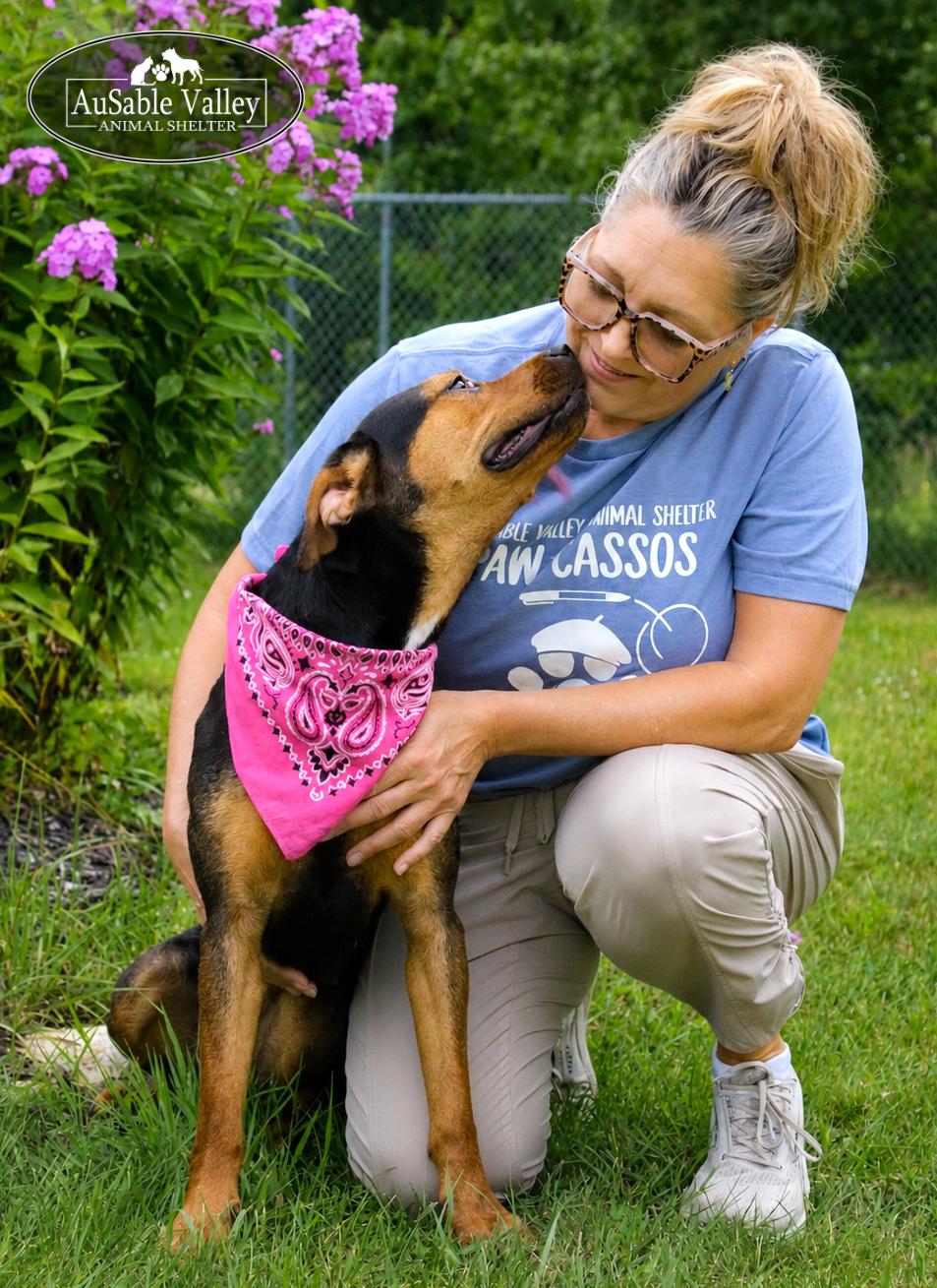Enlarge Dolly, a ADOPTABLE mixed breed in Grayling, MI image 6/6
