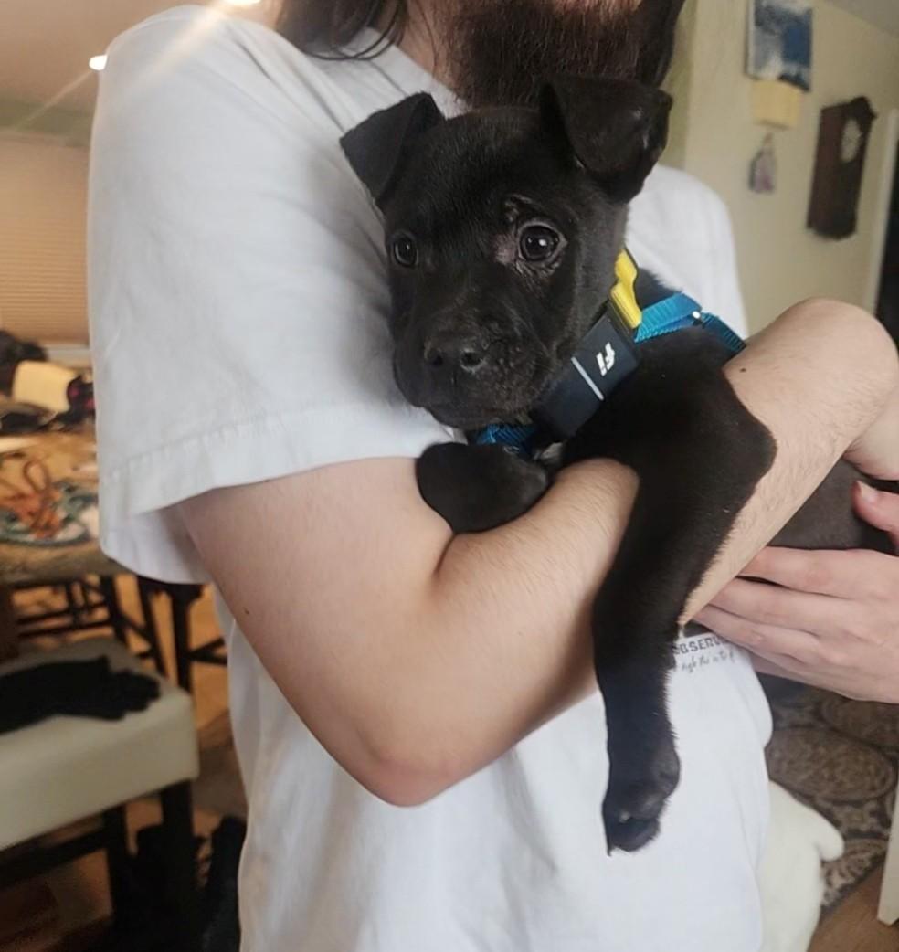 Shilo Incredible — thumbnail 3