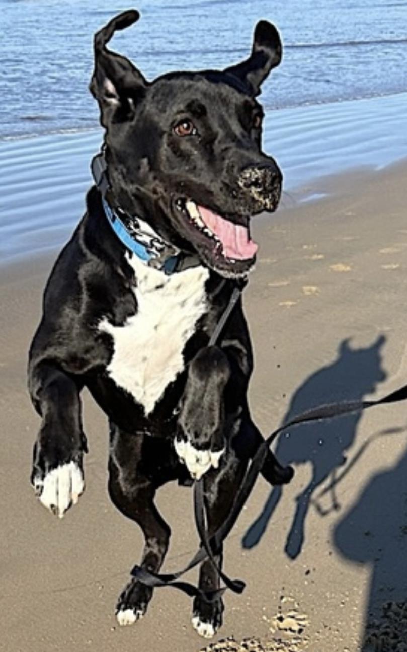 Loreto — thumbnail 4