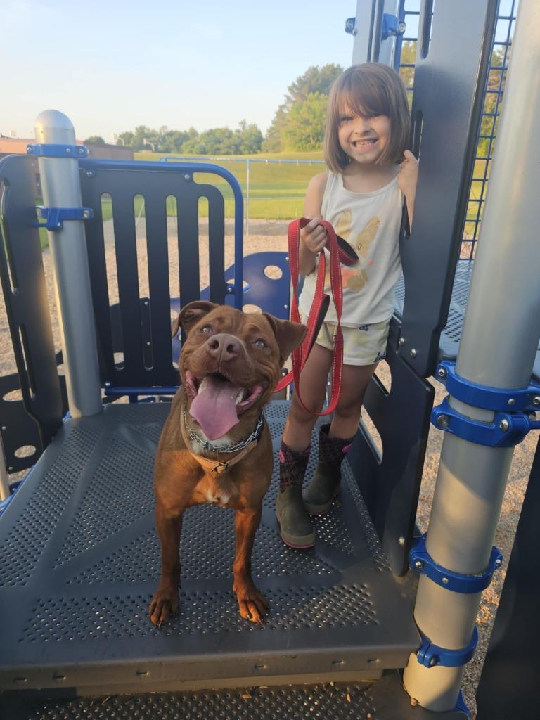 Enlarge Reba, a Adopted mixed breed in Sprakers, NY image 2/6