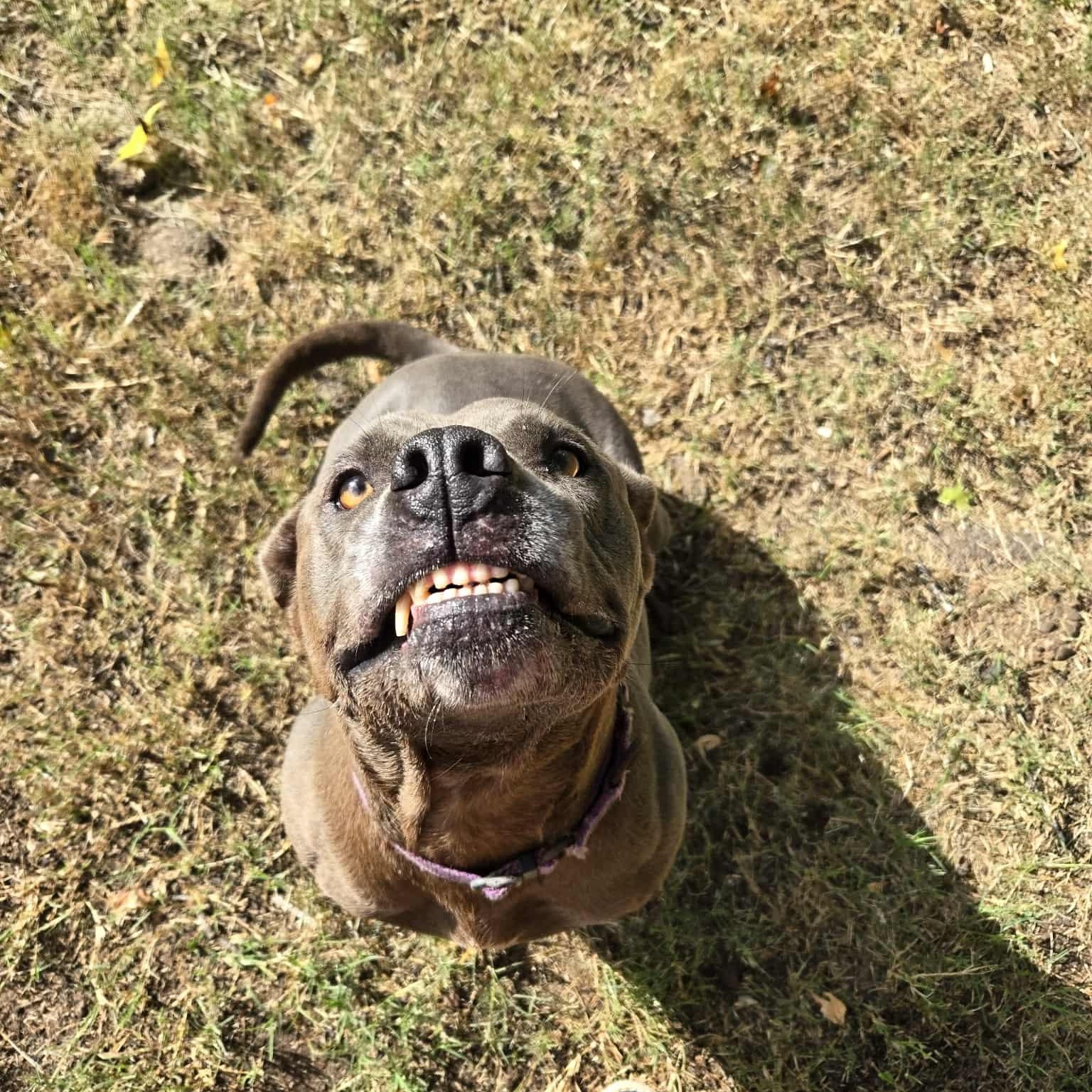 Emma — thumbnail 4