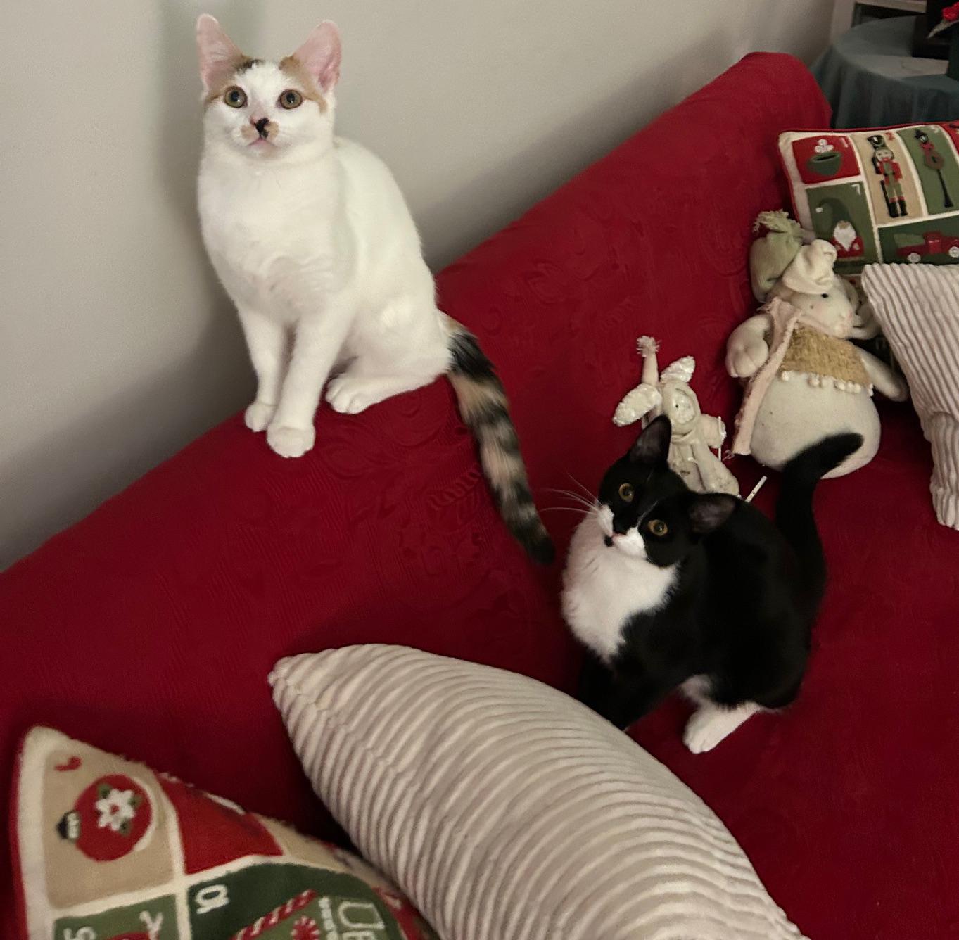 Hope Van Hadfield — thumbnail 2