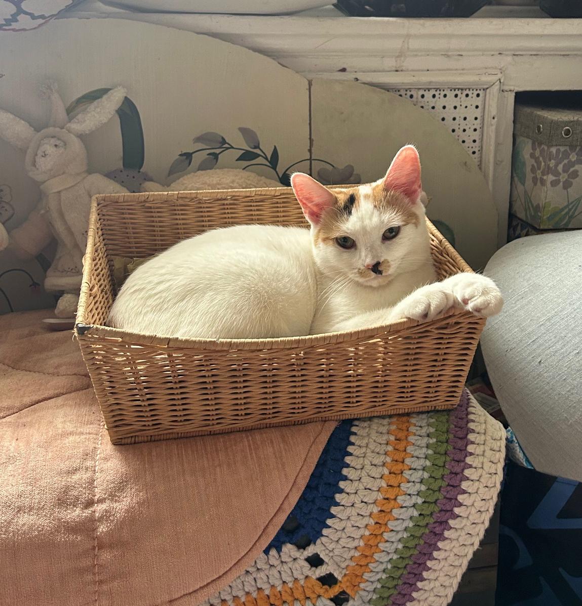 Hope Van Hadfield — thumbnail 3