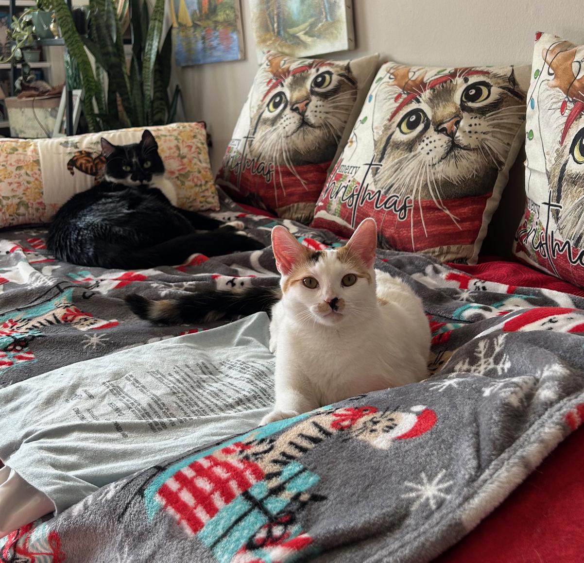 Hope Van Hadfield — thumbnail 4