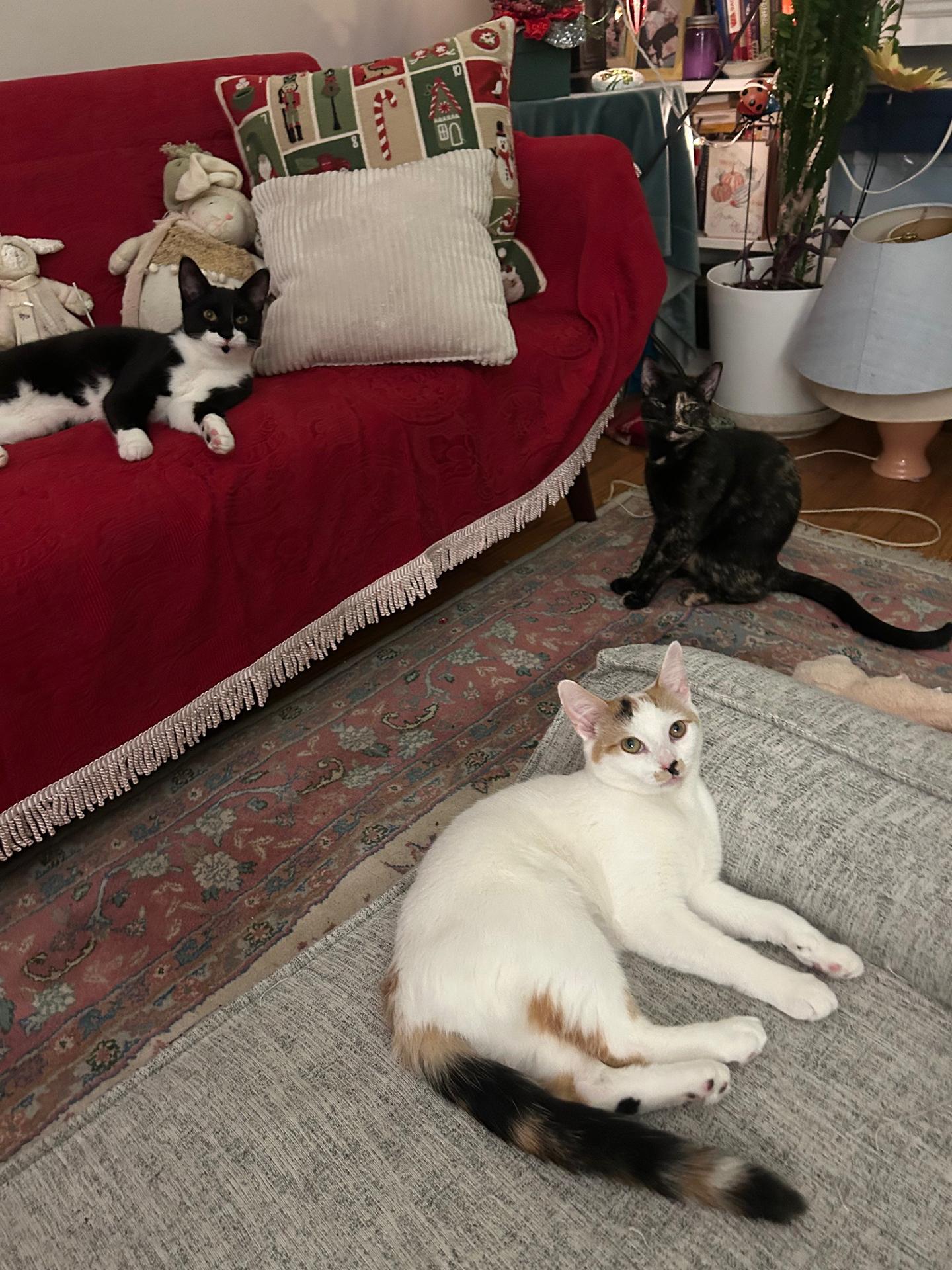 Hope Van Hadfield — thumbnail 5