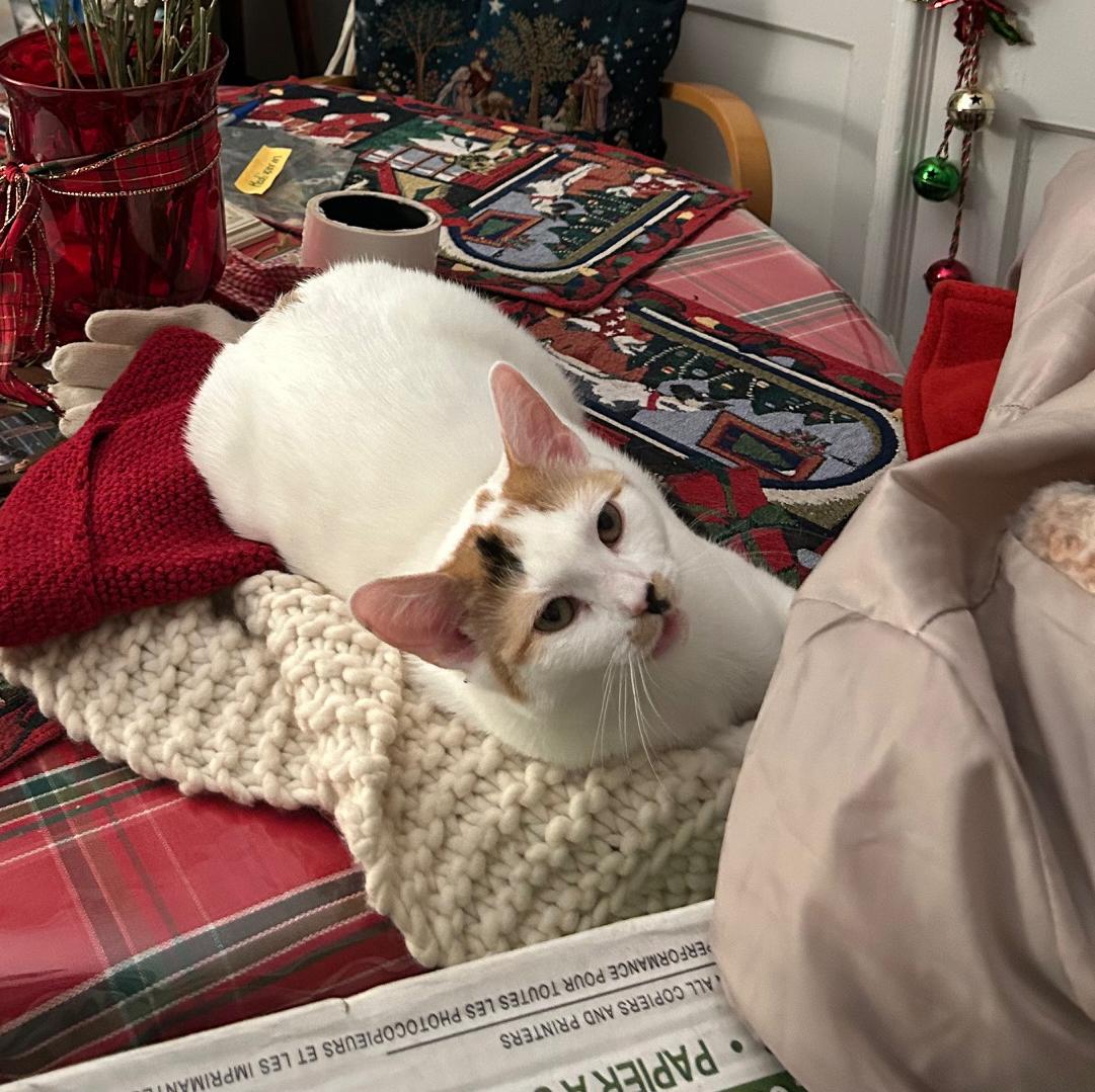 Hope Van Hadfield — thumbnail 6