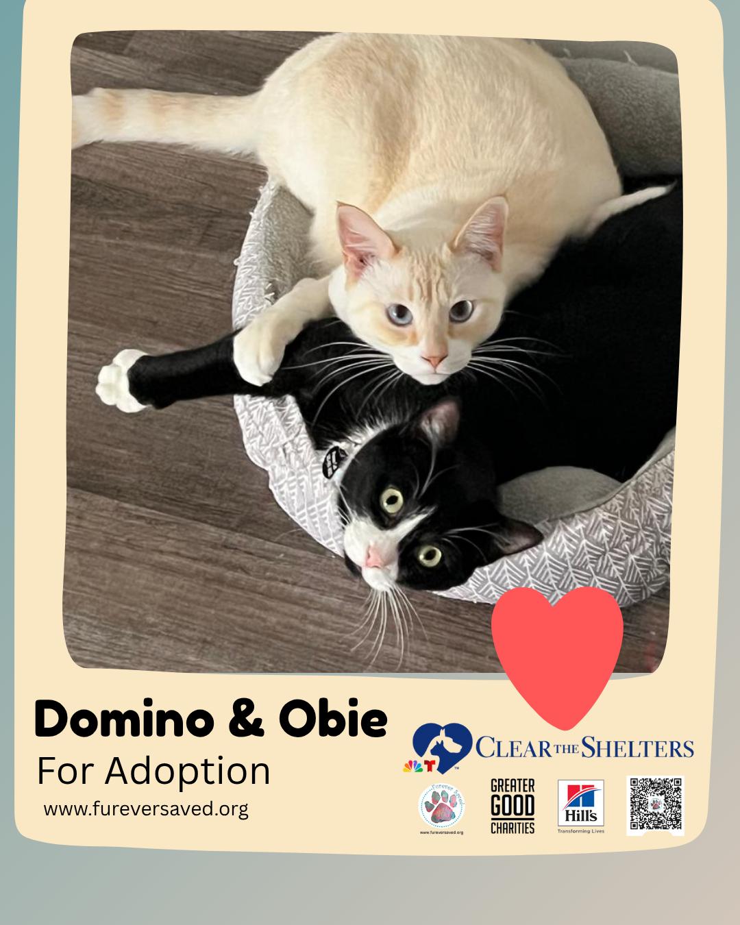 Domino & Obie