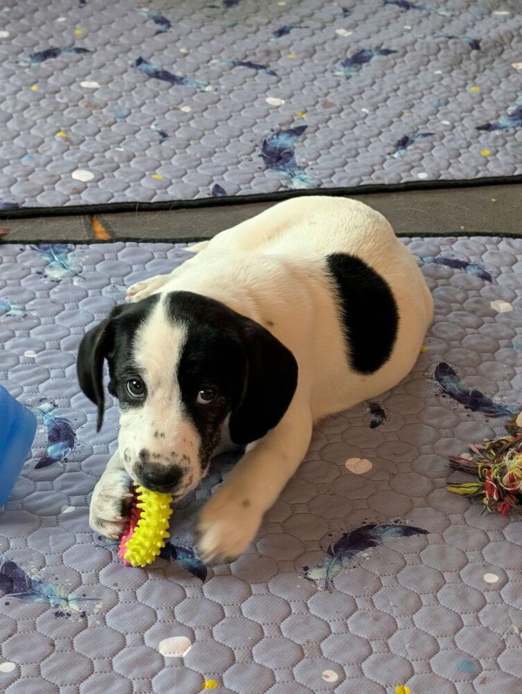 Jewel — thumbnail 2