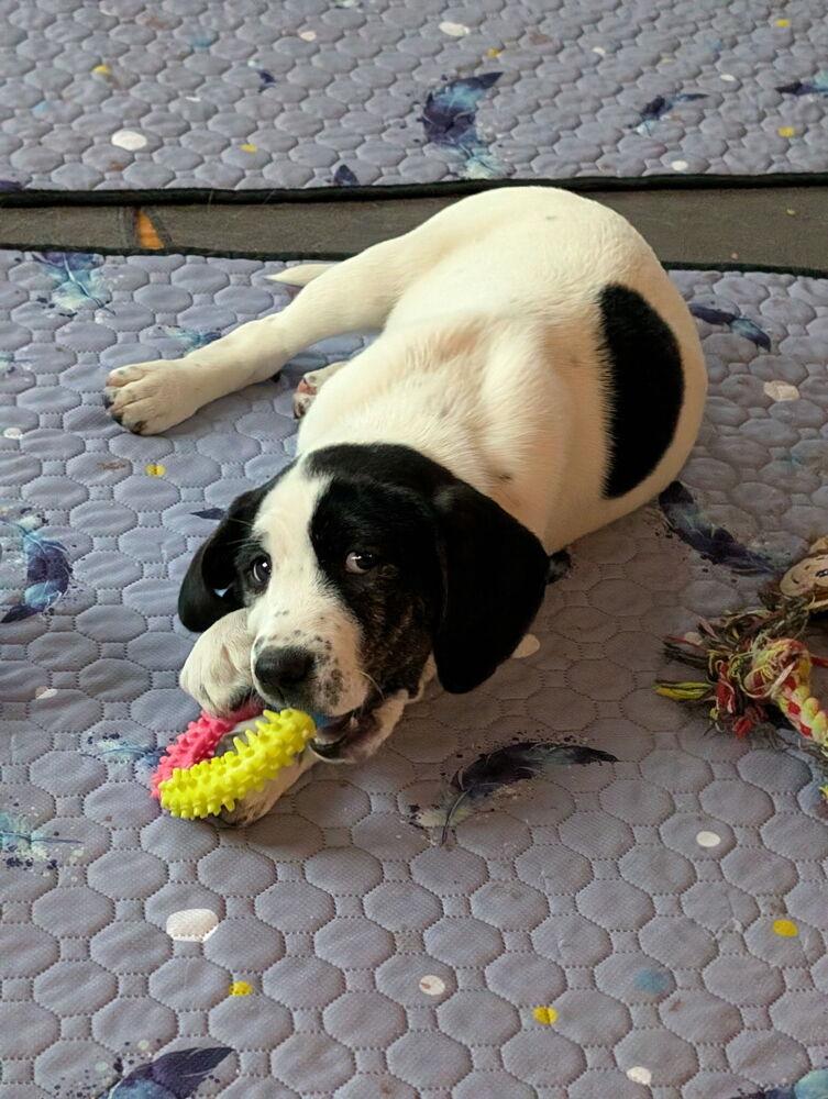 Jewel — thumbnail 3