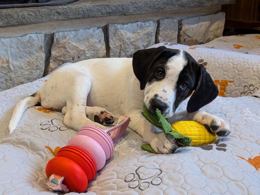 Jewel — thumbnail 6