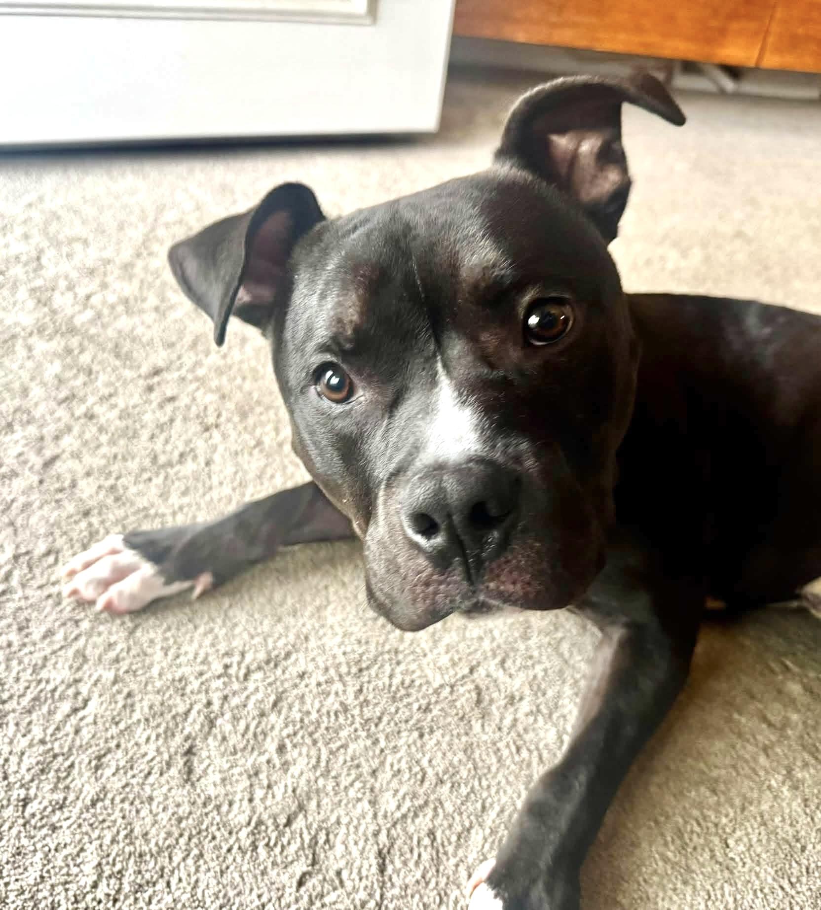 Tucker photo