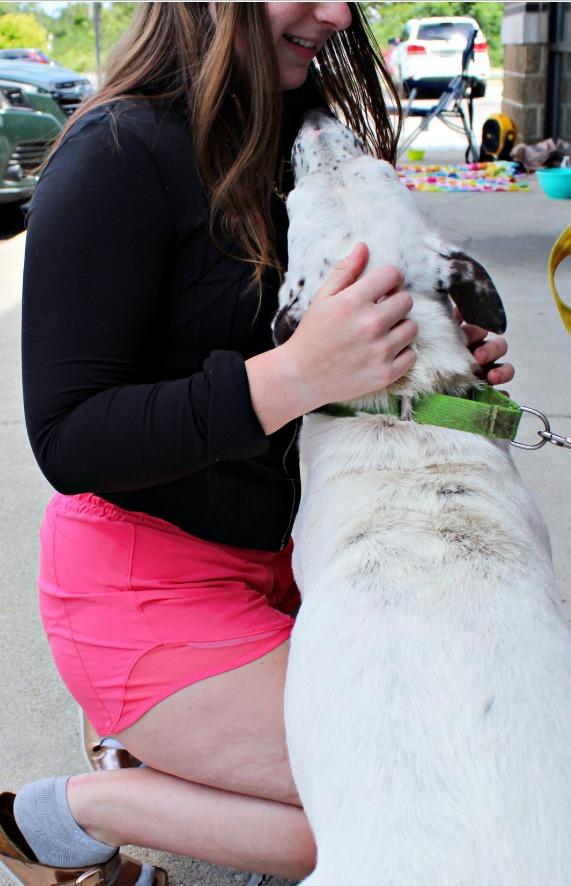 Moira, a Adoptable mixed breed in Indianapolis, IN image 4/6