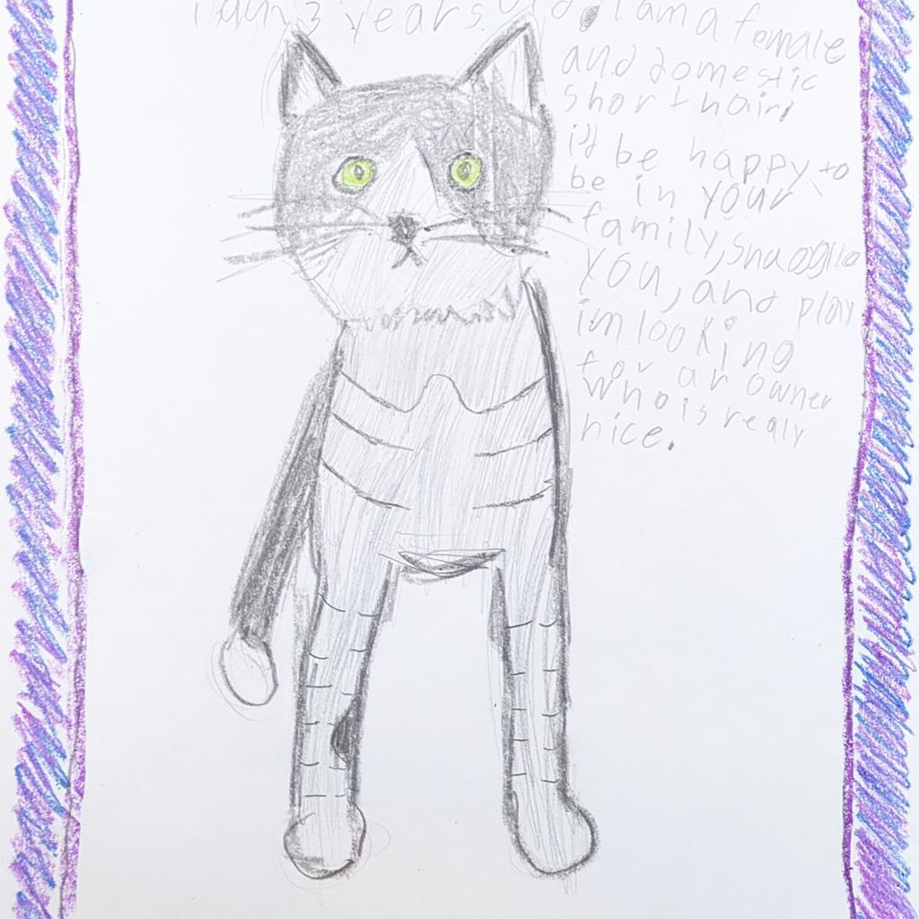 Checkers — thumbnail 6