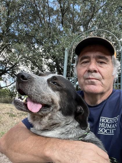 Enlarge Blackberry, a Adoptable mixed breed in Houston, TX image 3/3