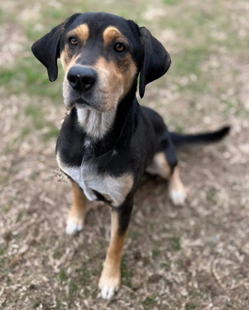 Jethro — thumbnail 4