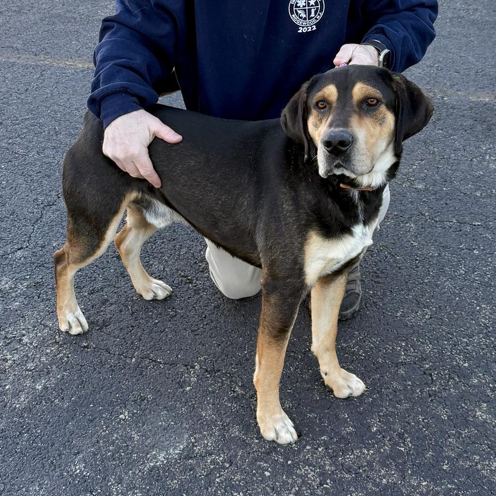 Jethro — thumbnail 6