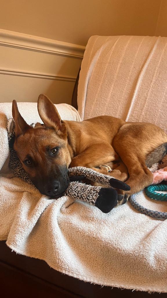 George  Local thumbnail 3