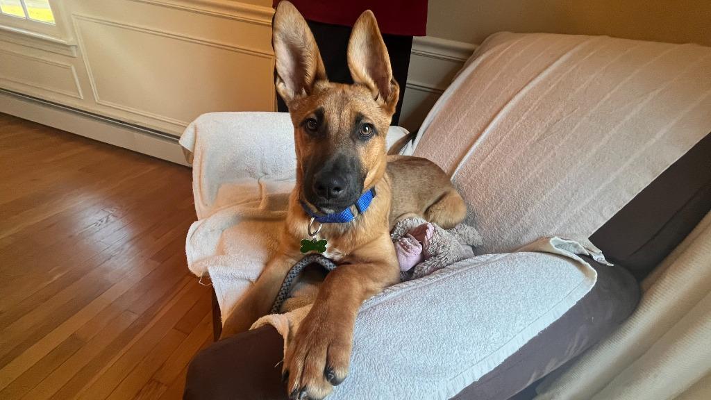 George  Local thumbnail 4