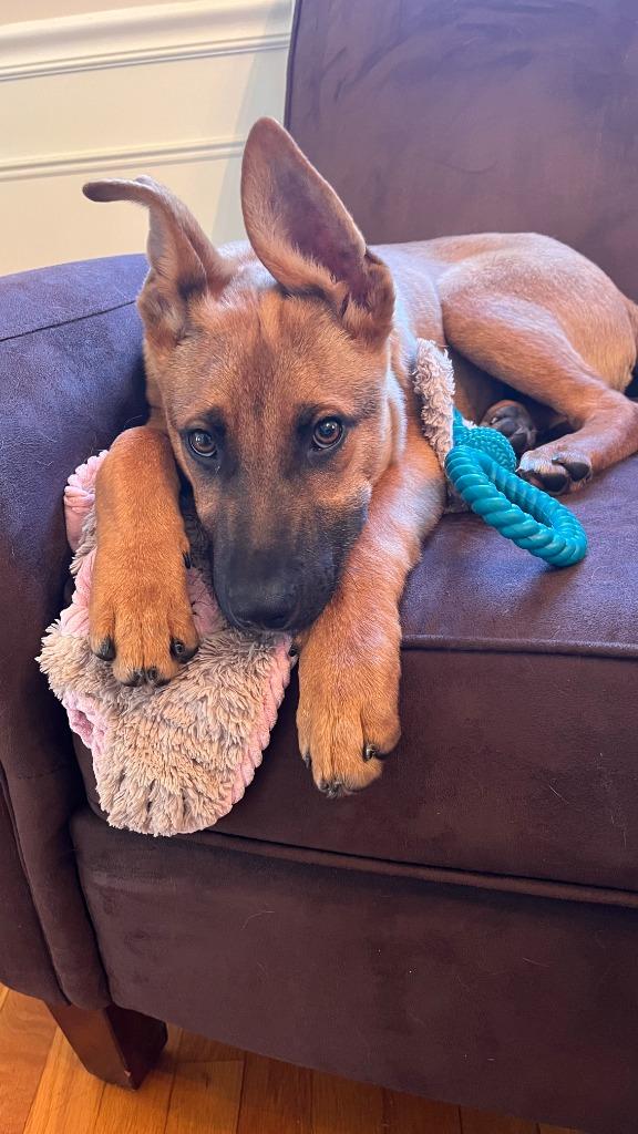 George  Local thumbnail 5