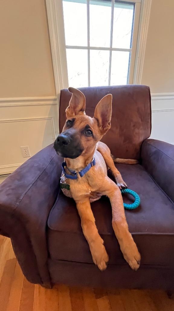 George  Local thumbnail 6