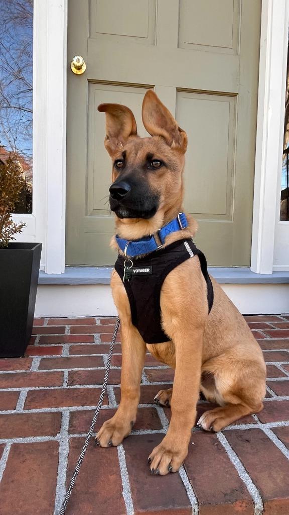 George  Local thumbnail 7