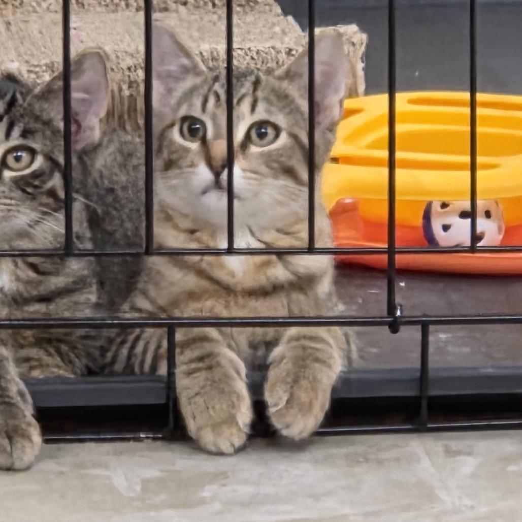 Stefan — thumbnail 2