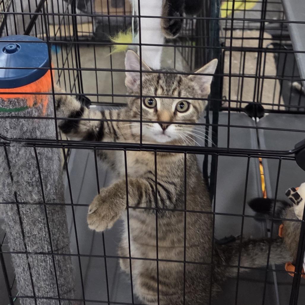 Stefan — thumbnail 4