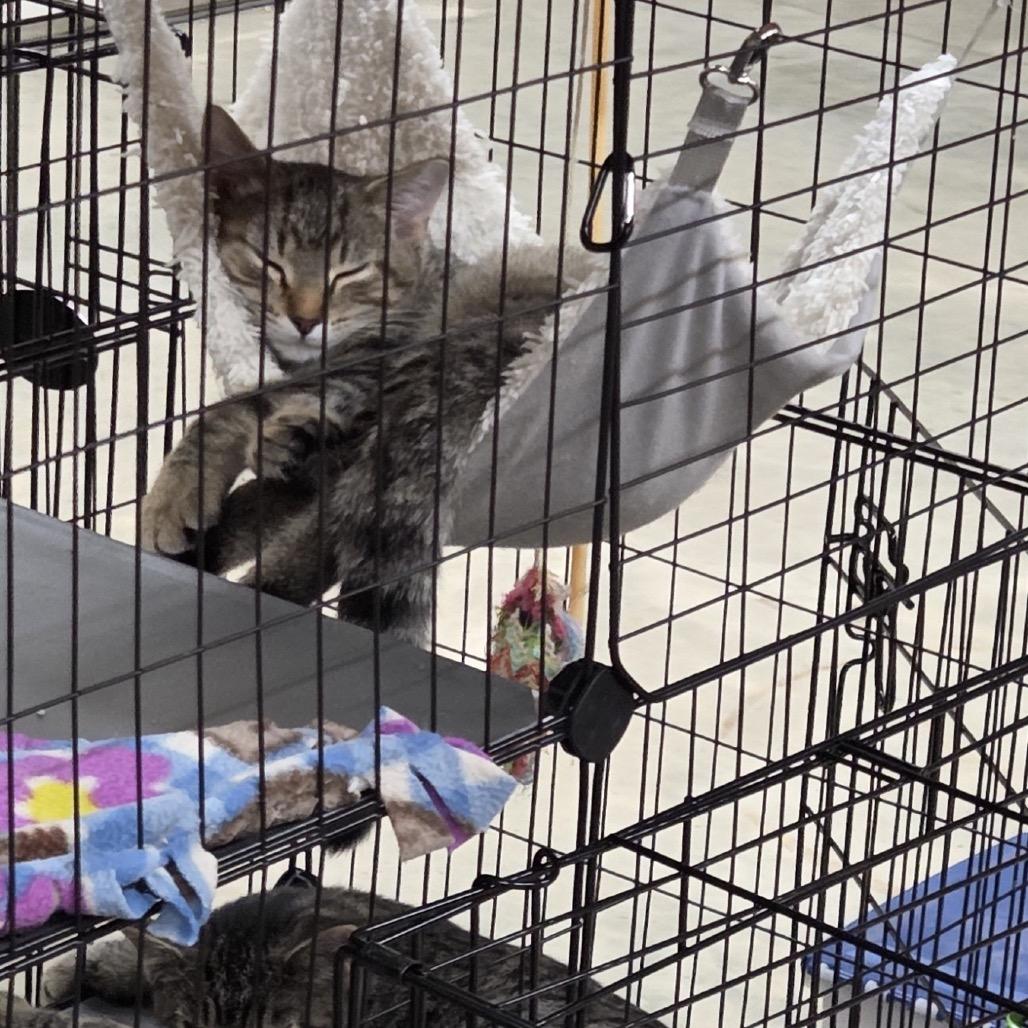 Stefan — thumbnail 5