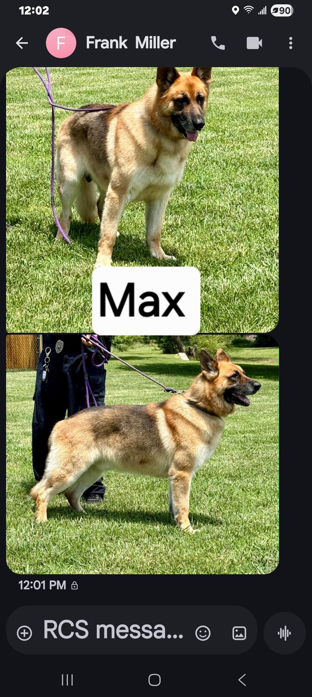 Enlarge Max, a Adoptable German Shepherd Dog in Valley Center, KS image 2/2