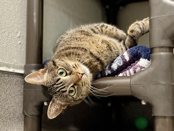 Izzy — thumbnail 3