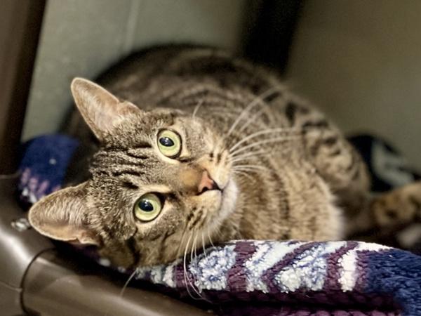 Izzy — thumbnail 4